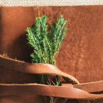 Leather bound book with branch on a textured background